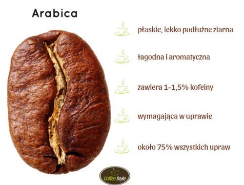 Arabica